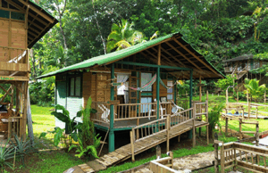 cabana basilisco exterior