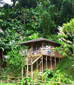 cabana borojo exterior