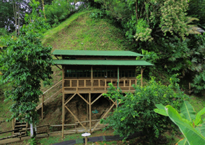 cabana vikinga exterior