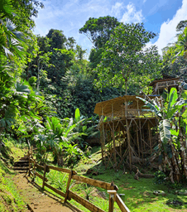 instalaciones plataforma yoga