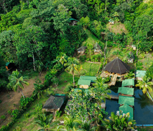 panoramica drone hotel playa alegre